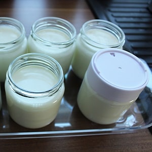 Joghurt mit Maschine zubereiten - Joghurt mit Joghurbereiter selber machen