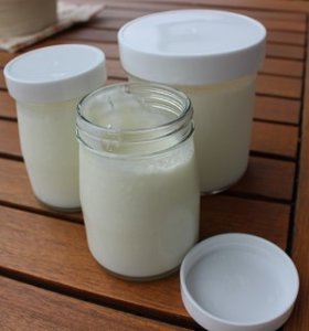 Joghurtgläser mit Schraubdeckel Joghurtmaschine - Joghurt mit Maschine selber machen - griechischer Joghurt - Fruchtjoghurt