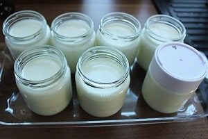... die Gläser mit der Masse füllen Masse in die Gläser füllen für selbst gemachten Joghurt mit Maschine