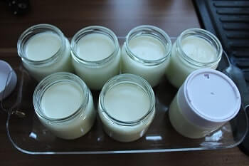 Milch Joghurt Masse in die Gläser des Joghurtbereiters abfüllen