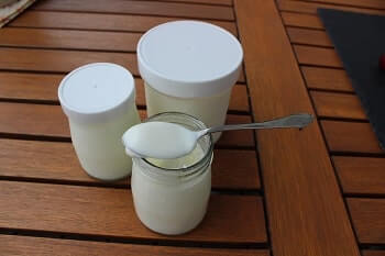 selbst gemachter Joghurt im Glas