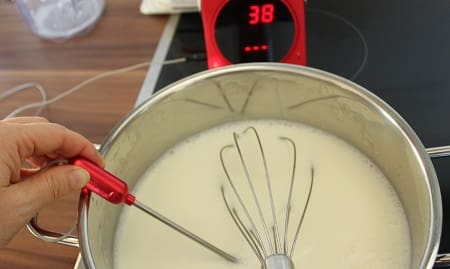 IQ-Vitality Joghurtbereiter Test - mit Timerfunktion aber ohne Abschaltautomatik - großer 1 Liter Joghurtbehälter