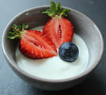 IQ-Vitaltiy Joghurtmaschine Test - Joghurt selber machen mit dem IQ Vitality - großer Joghurtbehälter mit 1 Liter