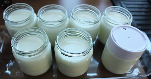 Joghurt mit Maschine selber machen - Rommelsbacher Joghurtbereiter Test - Testsieger - Abschaltautomatik - 18 Stunden Timer - LED Anzeige