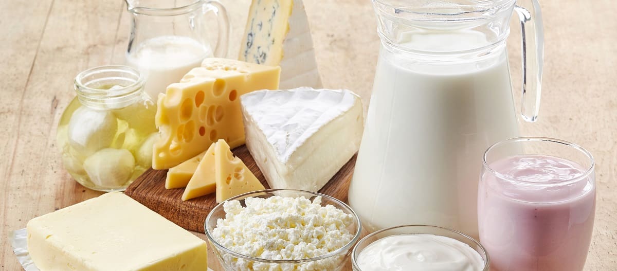 Milchprodukte sind gesund - Milchprodukte selber machen