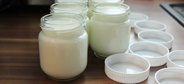 Joghurt mit Maschine selber machen - Rosenstein & Söhne Joghurtmaker Test