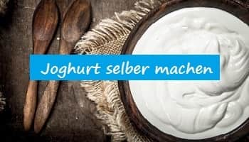 Rostenstein&Söhne Joghurtmaker - Joghurtzubereiter - Joghurtbereiter-Test-Joghurt-selber-machen