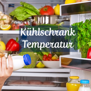 Kuhlschrank Temperatur Einstellen So Sparst Du Energie Geld