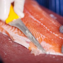 Filetiermesser für Fisch und Fleisch kaufen