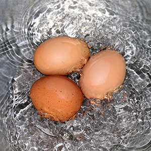 Eier kochen und Kocharten - weich gekochte Eier